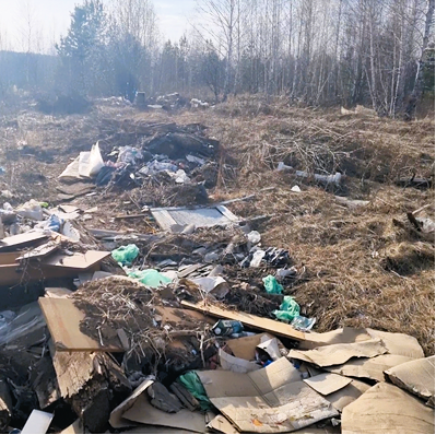 В Красноярском крае районная администрация добровольно возместила вред почвам в размере 1,2 млн руб.