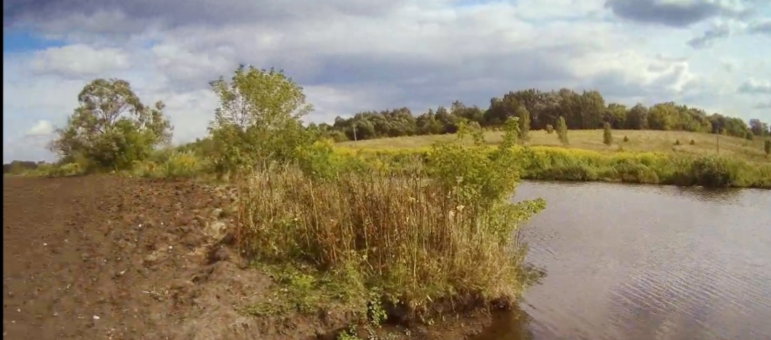 В ходе проверки земель вдоль берега р. Ицки в Орловской области обнаружены нарушения