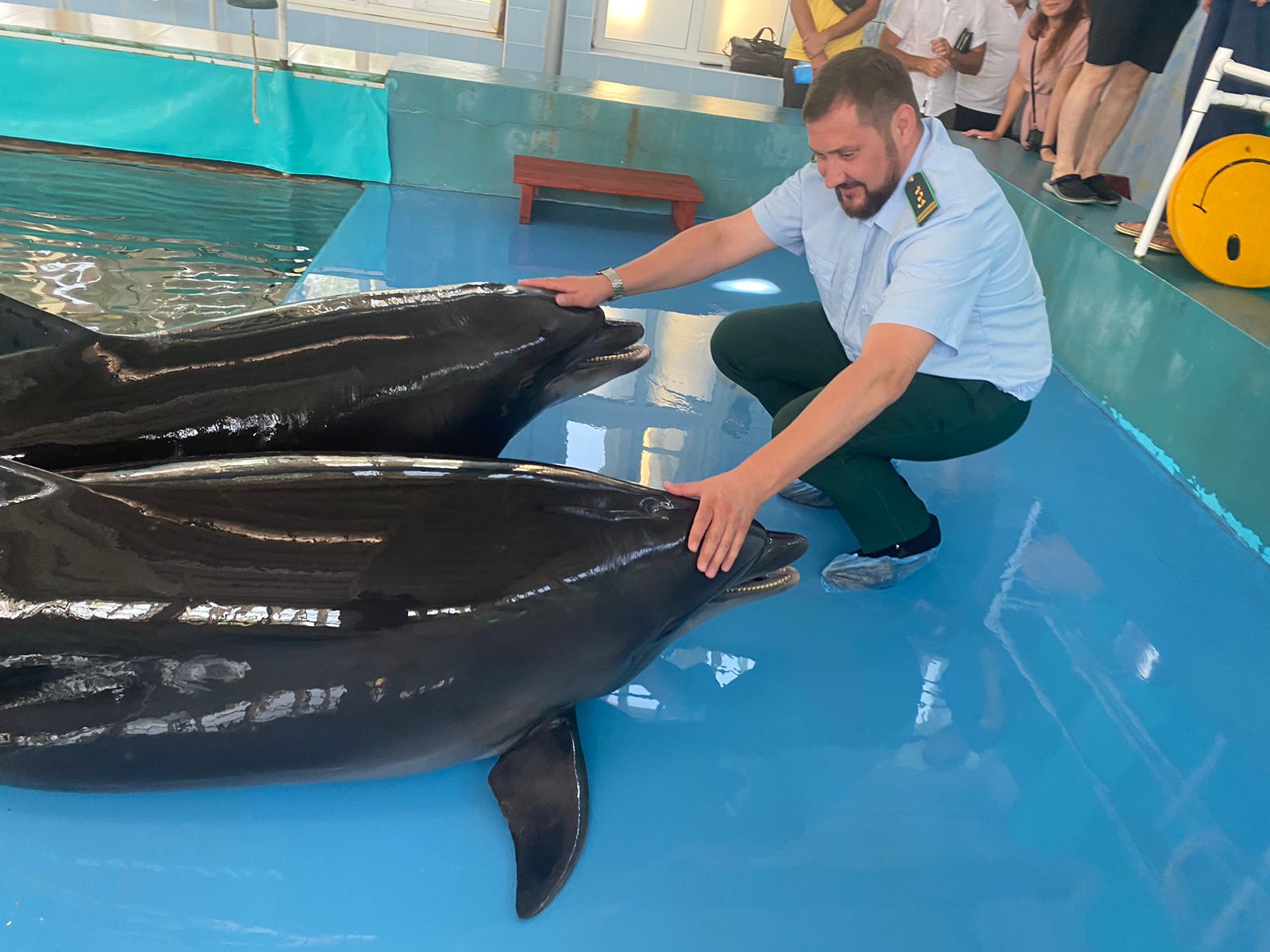 Сотрудники Росприроднадзора в рамках профилактического визита посетили старейшую семью черноморских дельфинов Афалин в России.