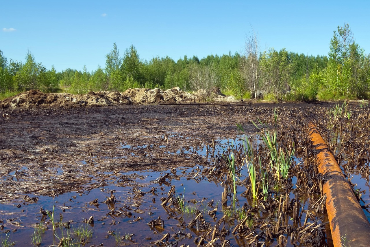 За размещение (длительное хранение) отходов ООО «Бурлук», в соответствии с постановлением Двенадцатого арбитражного апелляционного суда, обязано внести 19 896 тыс.руб. в счет платы за негативное воздействие