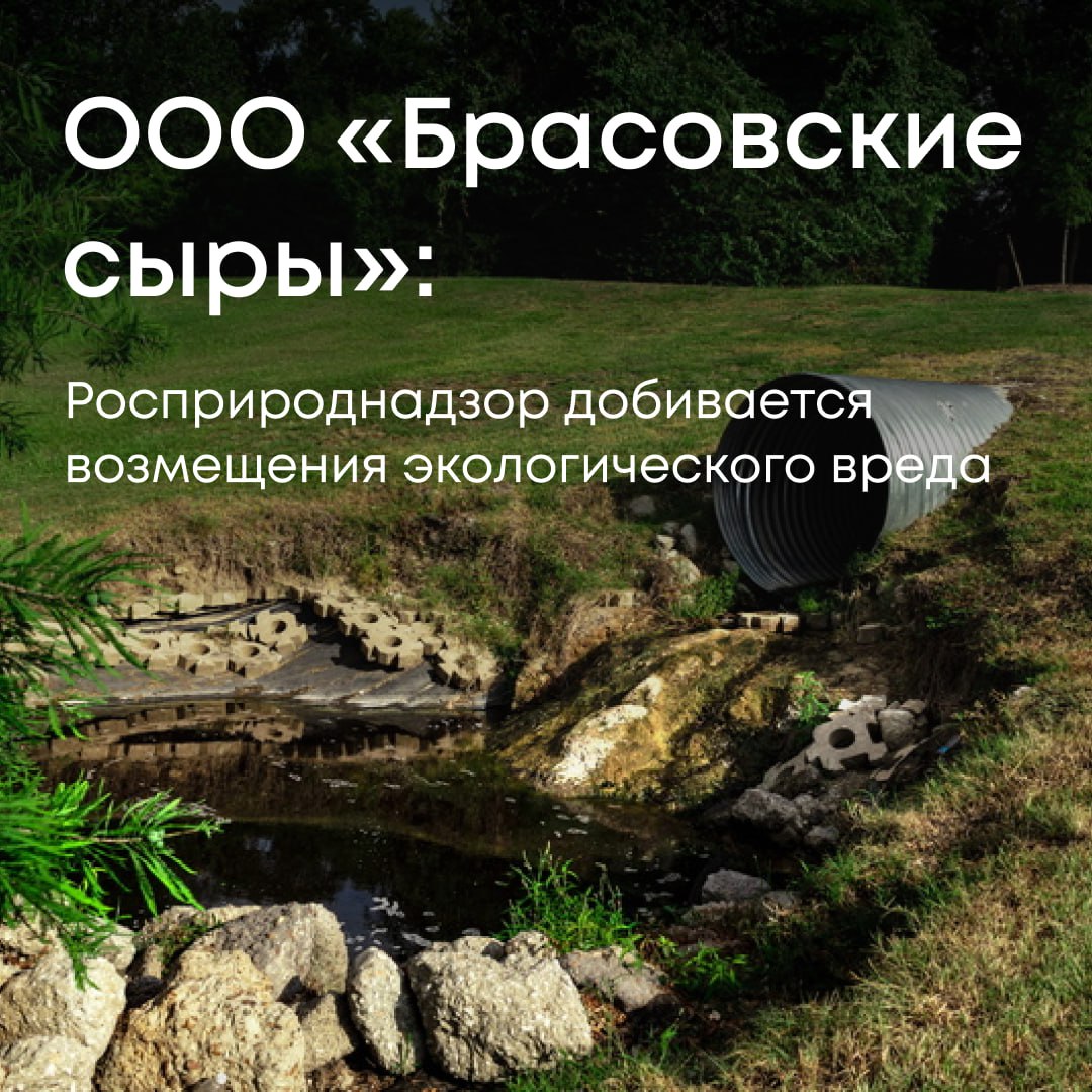 Росприроднадзор обратился с иском к ООО «Брасовские сыры» — по вине компании был загрязнен ручей Безымянный в Брянской области