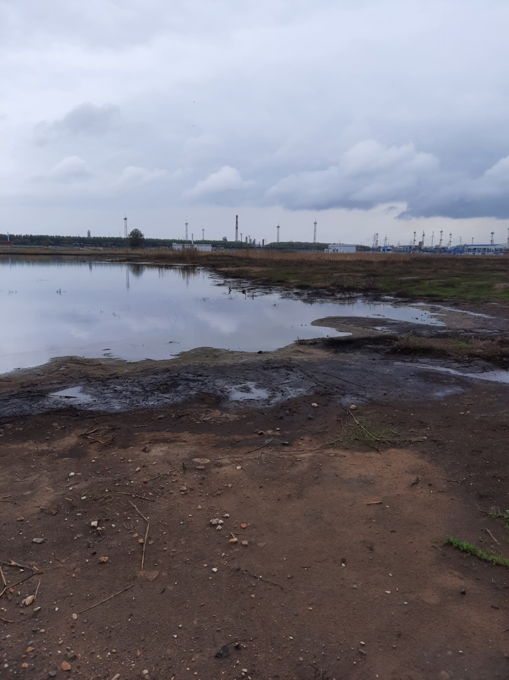 ООО «ЛУКОЙЛ-Волгоградэнерго» добровольно оплатило вред, причиненный почвам, в результате их загрязнения нефтепродуктами 