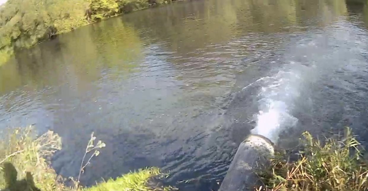 По результатам выездного обследования акватории прибрежной защитной полосы водоохранной зоны рек Полевые Локотцы и Любовша в Орловской области и проведенных исследований нарушений не выявлено