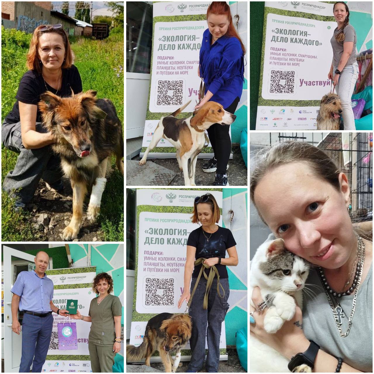 Сотрудники Росприроднадзора поддержали бездомных животных в рамках экологической акции