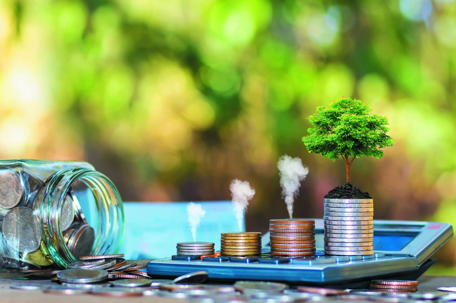 Приокское межрегиональное управление Росприроднадзора информирует о порядке предоставления Декларации о плате за негативное воздействие на окружающую среду