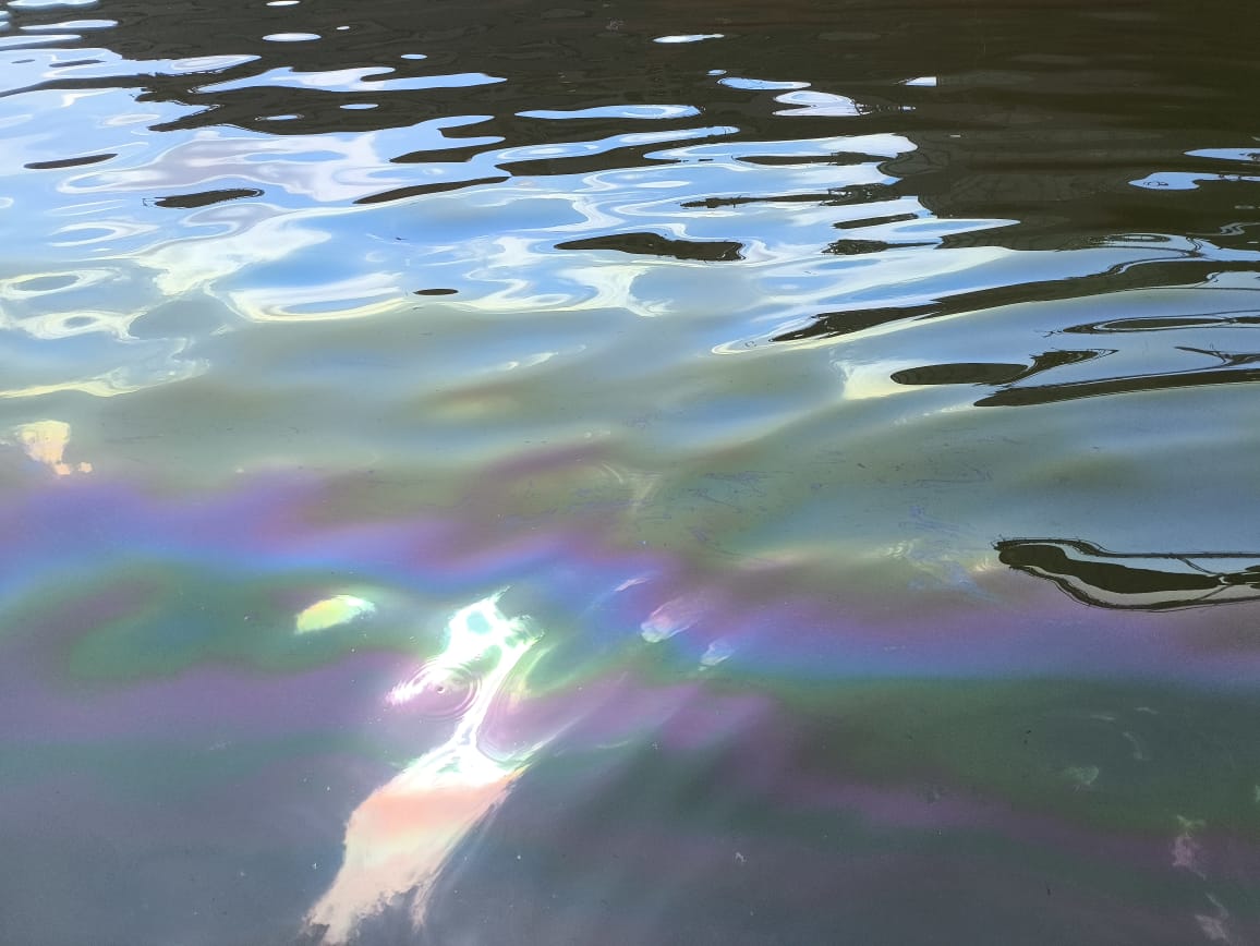 Росприроднадзором приняты меры по факту загрязнения нефтепродуктами акватории реки Волга