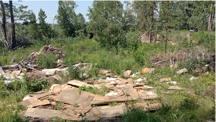 Суд поддержал требования Южно-Сибирского межрегионального управления Росприроднадзора о взыскании вреда, причиненного почвам, с арендатора земельного участка   