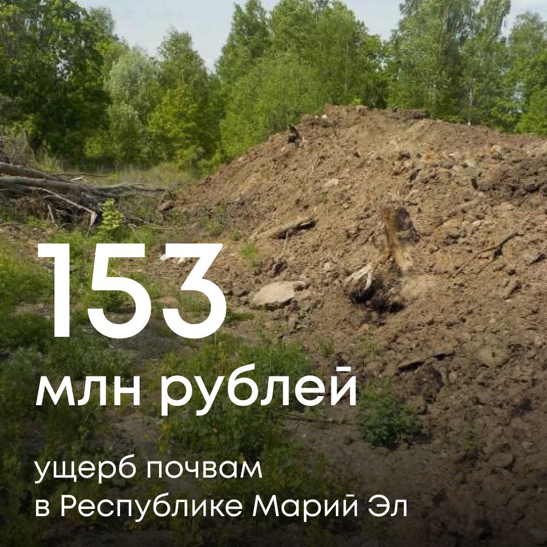 Росприроднадзор добивается взыскания с ООО «Центр Спас» 153 млн рублей за ущерб, причиненный почвам в Республике Марий Эл.