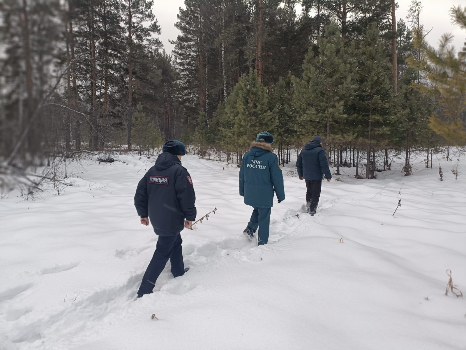 Росприроднадзор выехал в «Национальный парк «Зигальга» для выявления и пресечения нарушений