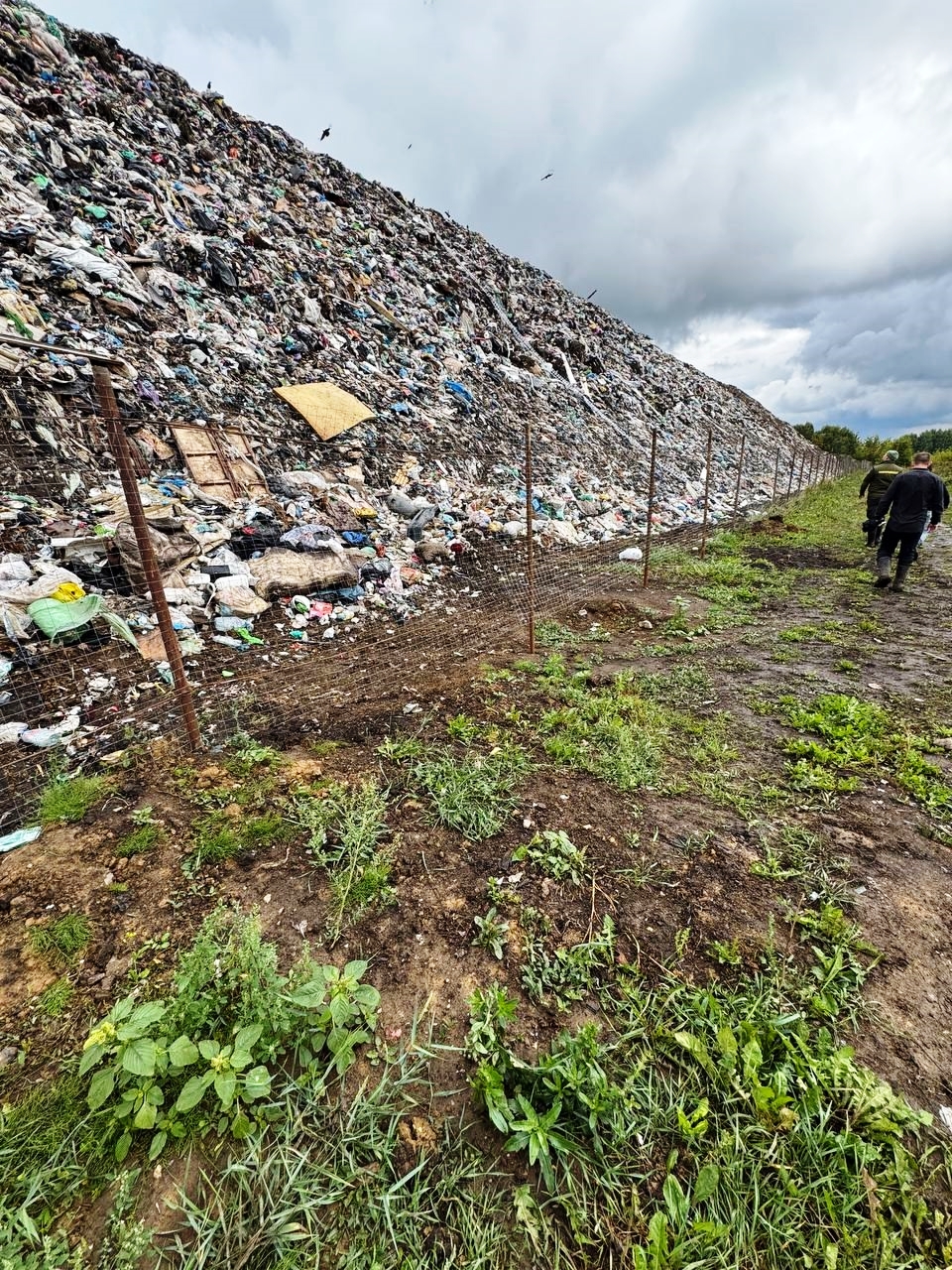 Полигон ТБО в Сергачском районе Нижегородской оказывает негативное влияние па почву