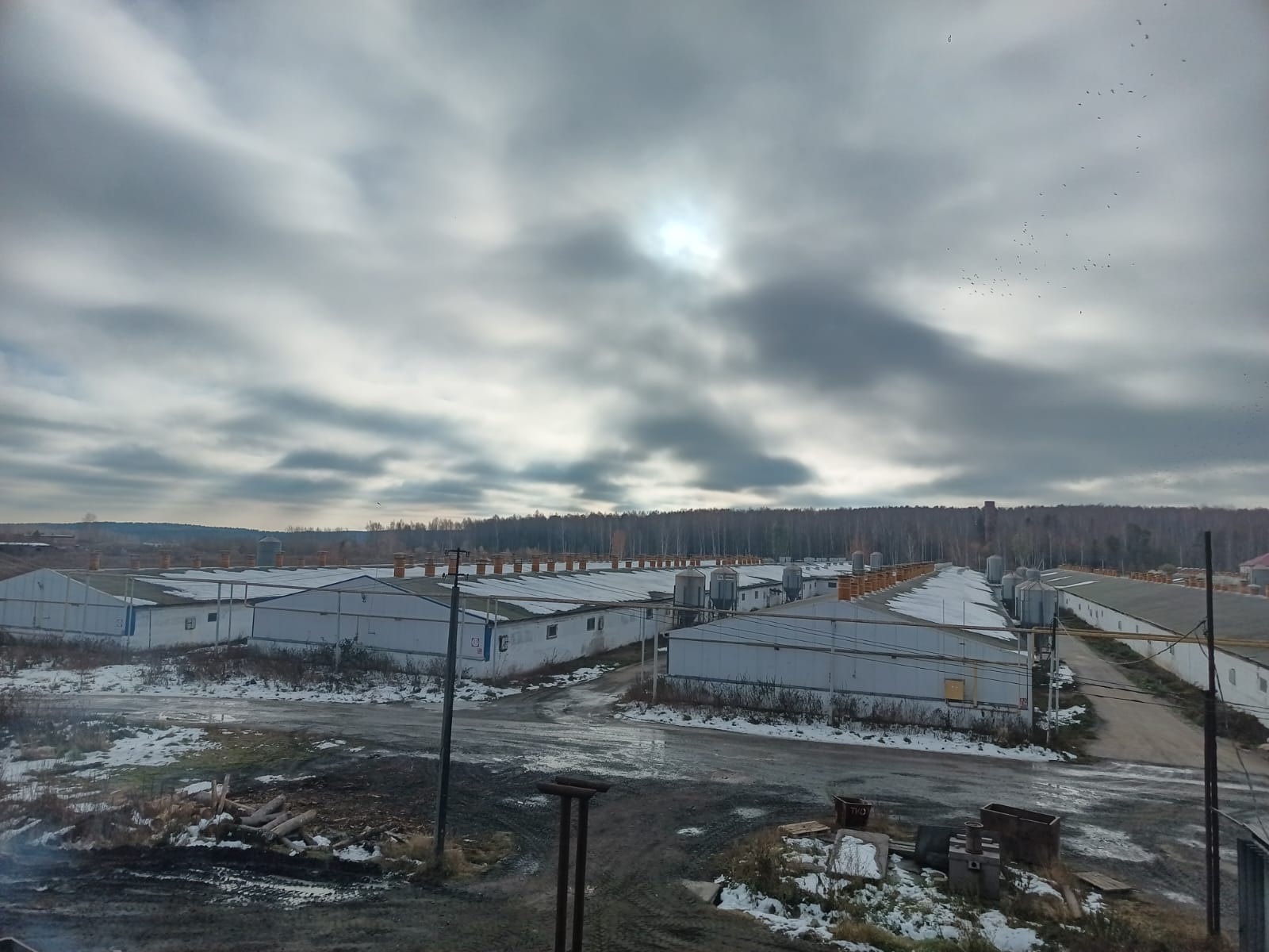  Росприроднадзор проверил исполнение предписания ООО «Агрокомплекс «Горноуральский» 