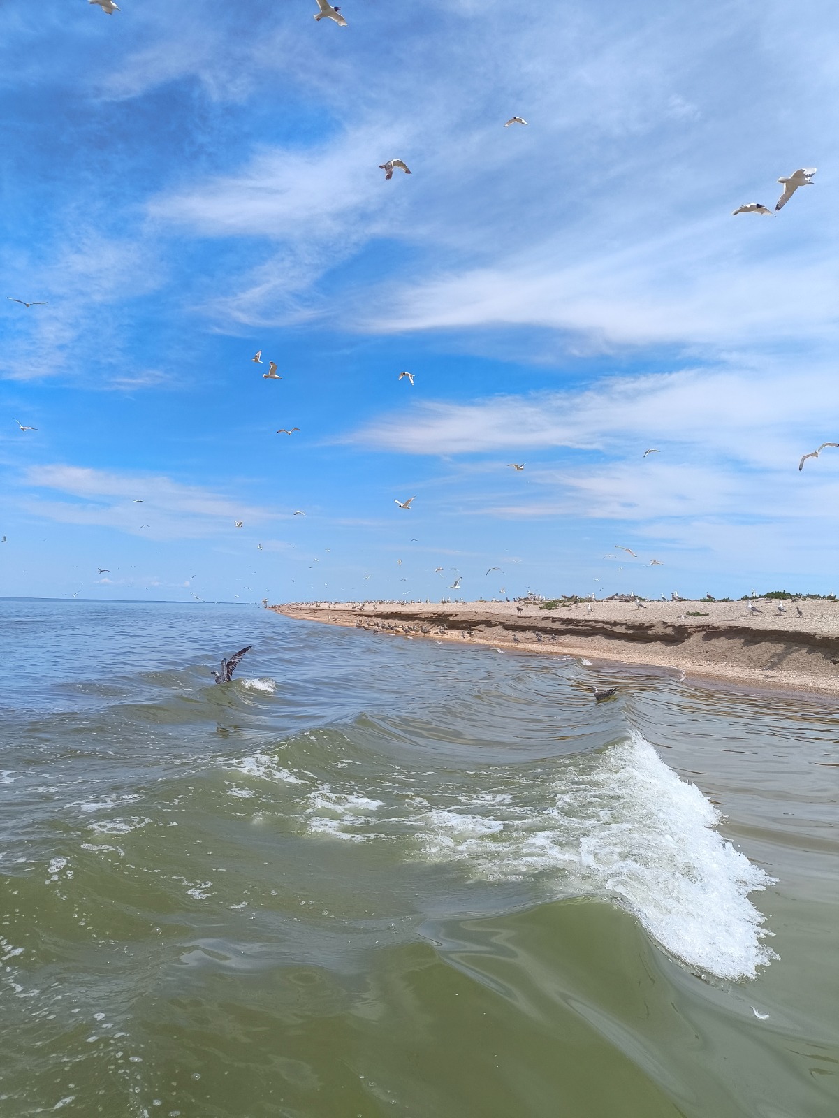 Сотрудниками Росприроднадзора проведен очередной мониторинг  острова Малый Жемчужный