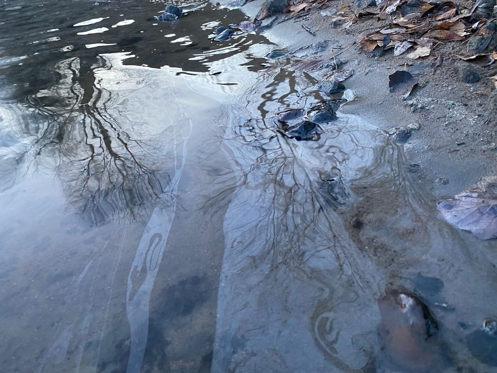 Росприроднадзор уведомляет