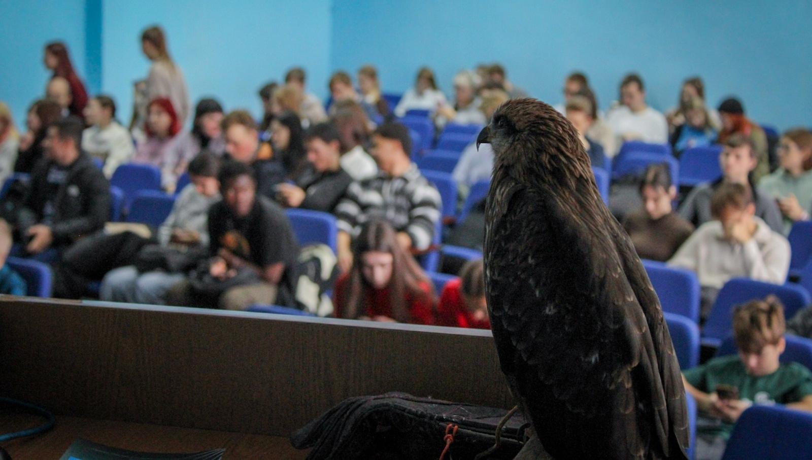 В Воронеже сотрудники Центрально-Черноземного управления Росприроднадзора приняли участие в круглом столе, посвященном вопросам обращения с дикими хищными птицами Российской Федерации