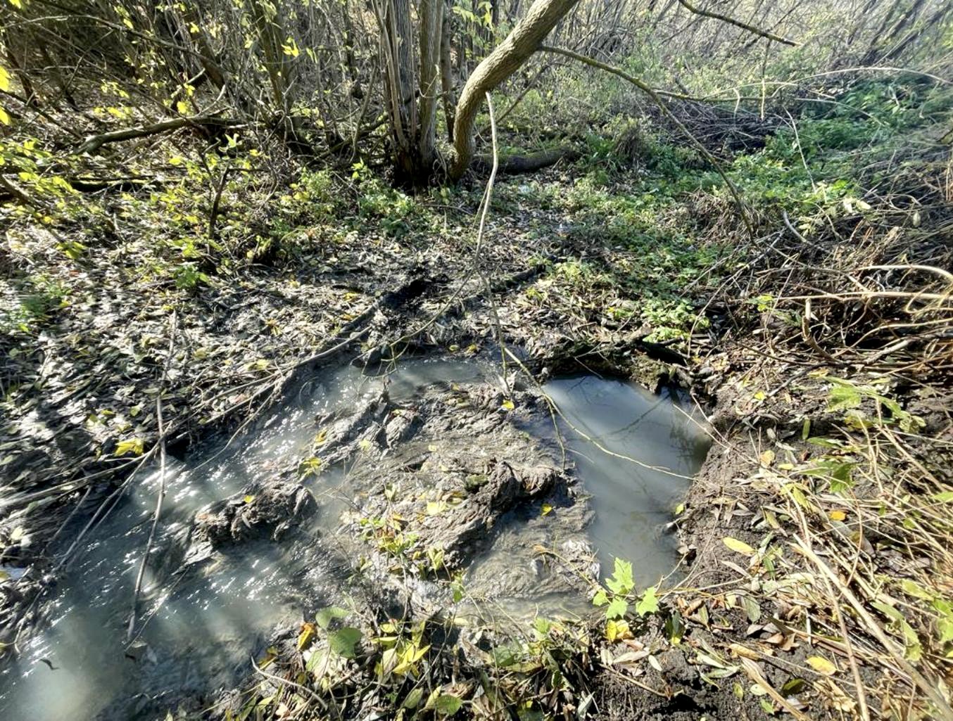 В ходе выездного обследования территории вблизи улицы Артезианская в мкр. Новоугольный г. Донской Тульской области выявлены нарушения