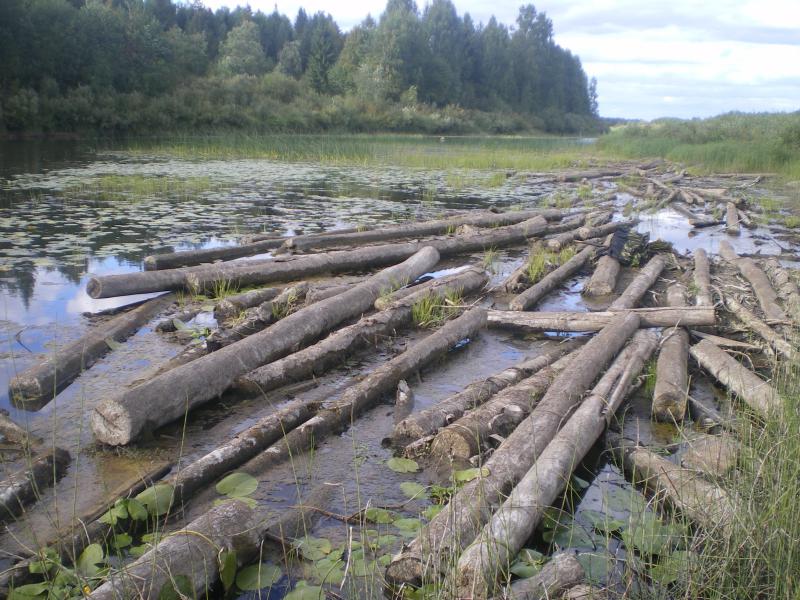 Росприродназор обязал Администрацию Петровского района расчистить русло реки Медведица