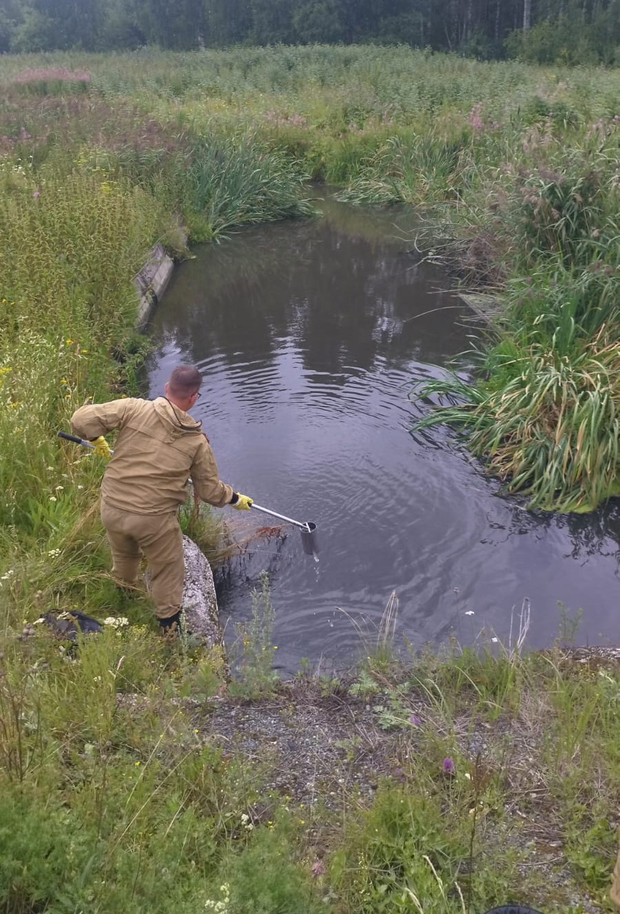 Уральское управление Росприроднадзора проводит внеплановую проверку в отношении МУП «Водоканал» в г. Верхняя Пышма