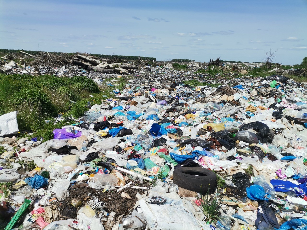 Росприроднадзор завершил работу по обследованию объектов Воронежской и Белгородской областей в рамках реализации федерального проекта «Генеральная уборка»