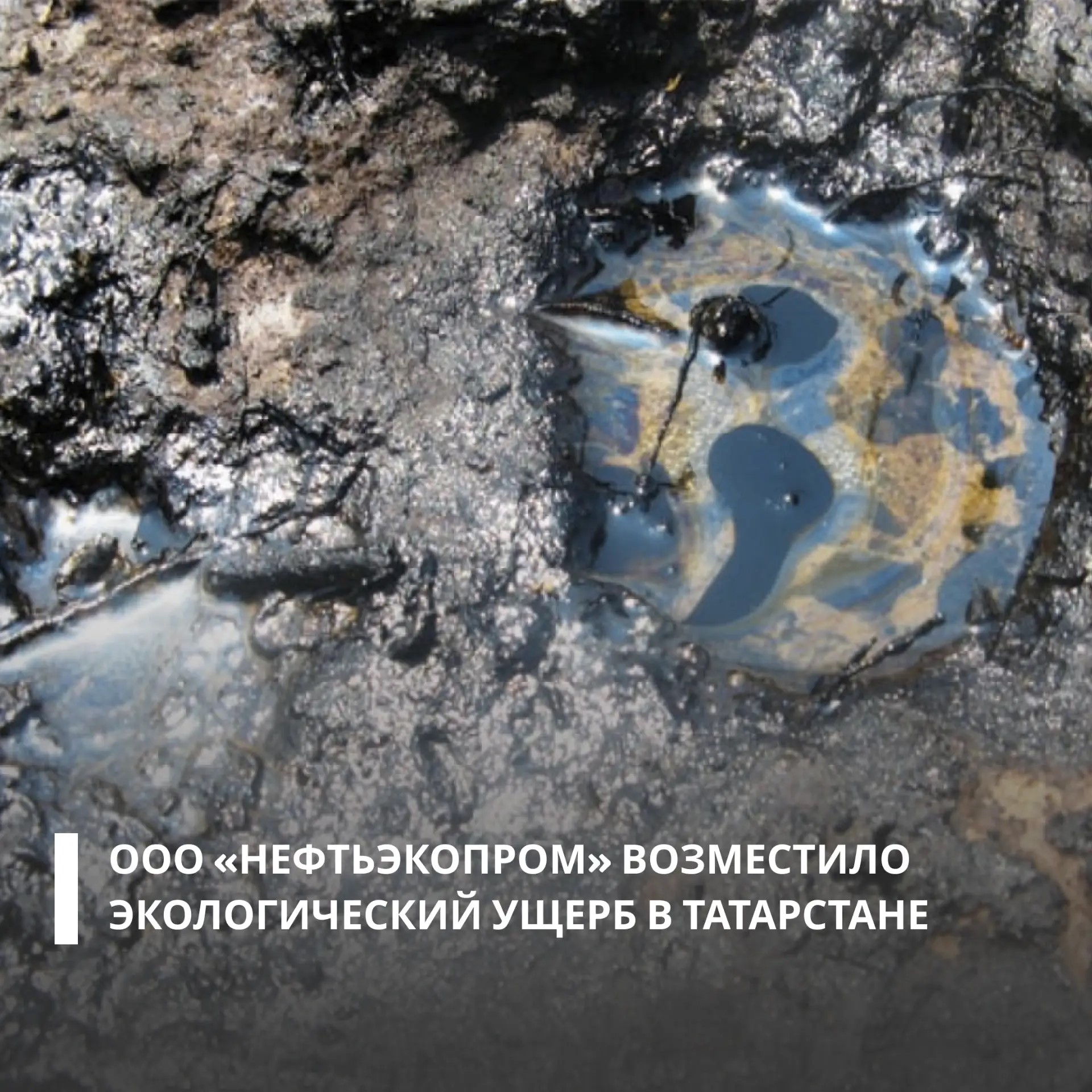 ООО «Нефтьэкопром» компенсировало более 1,1 млн рублей за загрязнение почвы нефтепродуктами