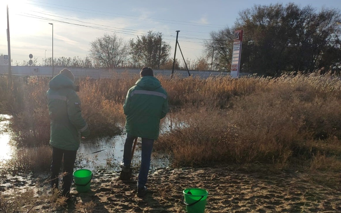 Четвертый кассационный суд поддержал требования Росприроднадзора о возмещении вреда почвам, в размере 2 миллиона 117 тысяч 696 рублей