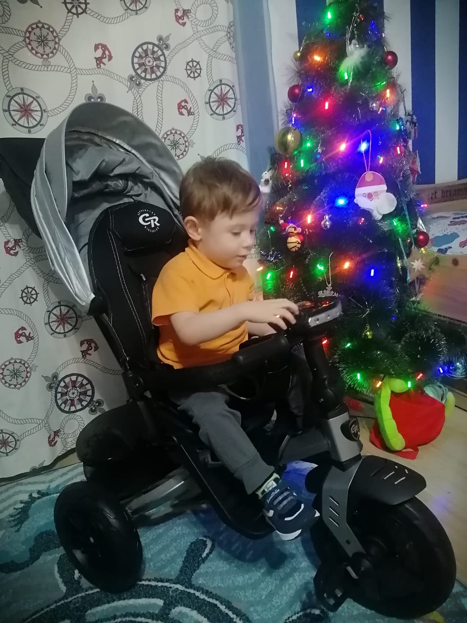 Руководитель Уральского Росприроднадзора исполнил желания мечтателей «Ёлки желаний»