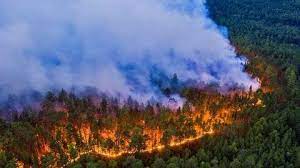 Якутская природоохранная прокуратура разъясняет о вступлении в силу новых правил тушения лесных пожаров
