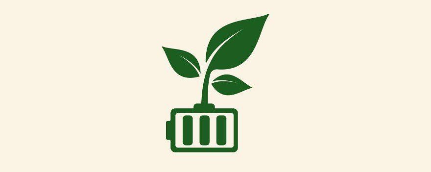 Почему батарейки нельзя выбрасывать вместе с обычным мусором