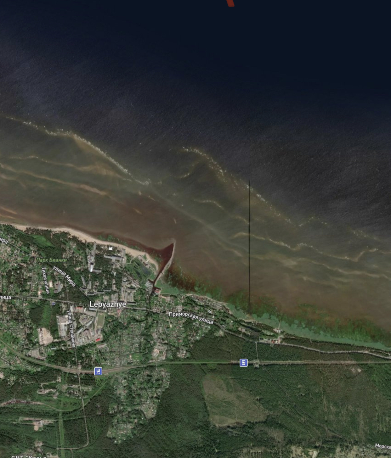 В Петербурге и Ленинградской области прогнозируется изменение цветности водных объектов из-за резкого роста цветения и отмирания синезеленых водорослей 