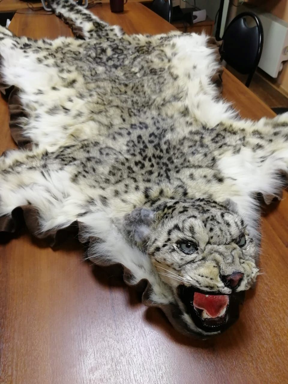 При участии сотрудников Южно-Сибирского управления Росприроднадзора пресечена незаконная деятельность по обороту дериватов краснокнижных животных