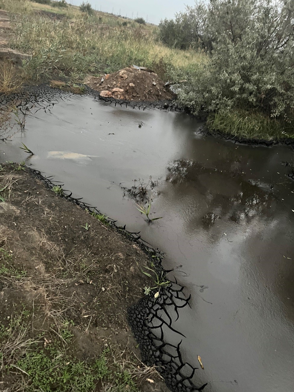 В Волгограде инспекторы Росприроднадзора выявили многочисленные нарушения в деятельности ООО «ЭКОЙЛ» 