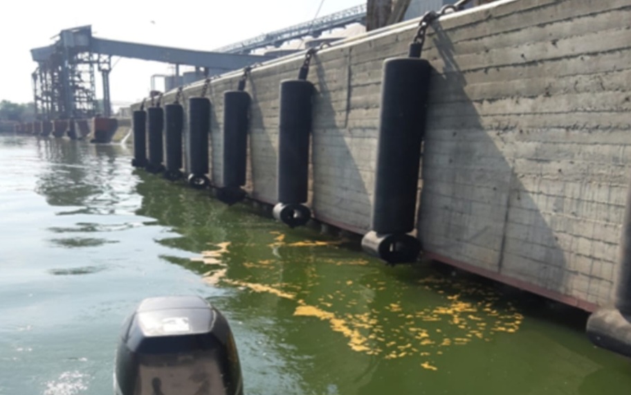 Взыскан ущерб, причинённый ООО «Ростовский КХП» реке Дон 