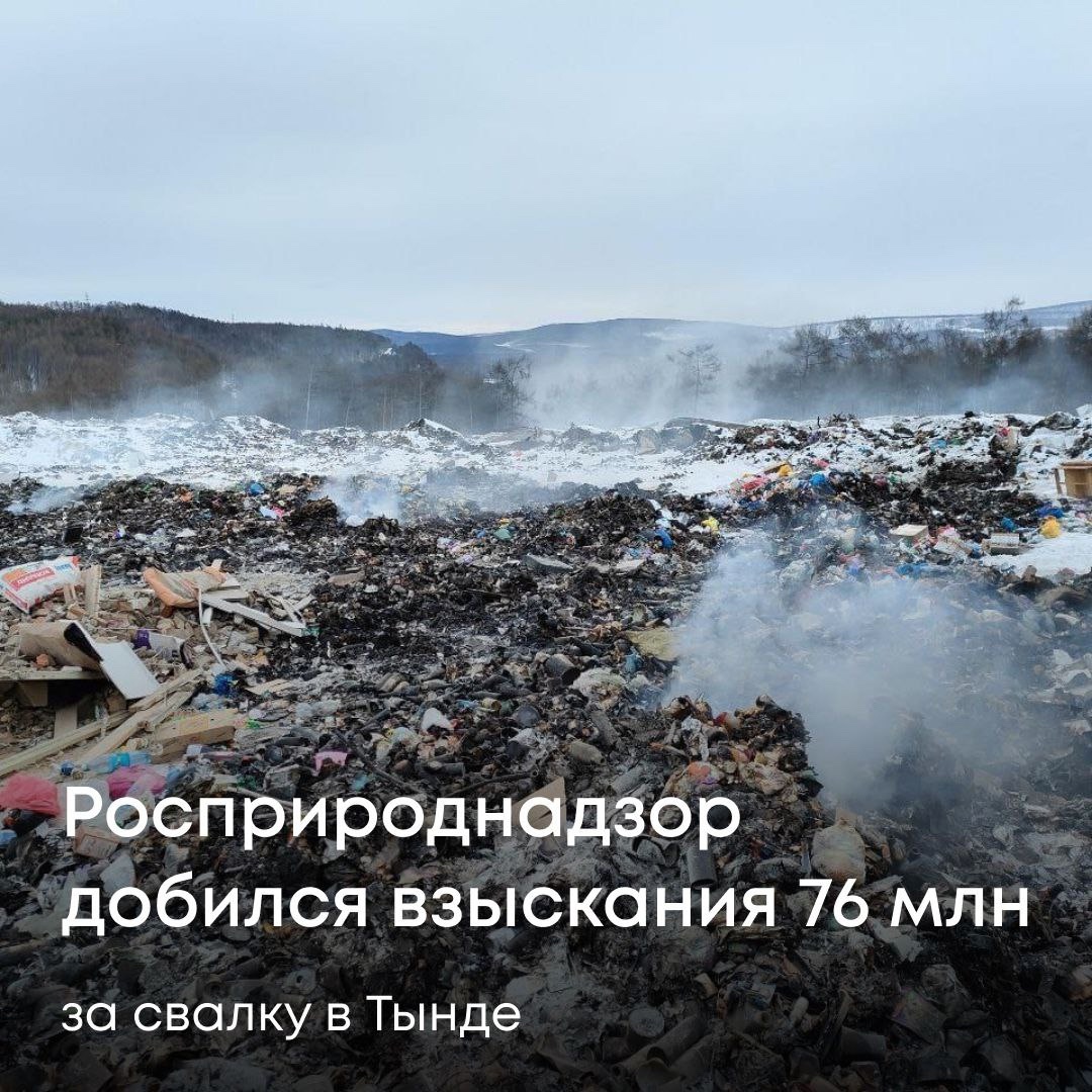 Управление добилось взыскания более 76 млн рублей за организацию несанкционированной свалки в городе Тында Амурской области.