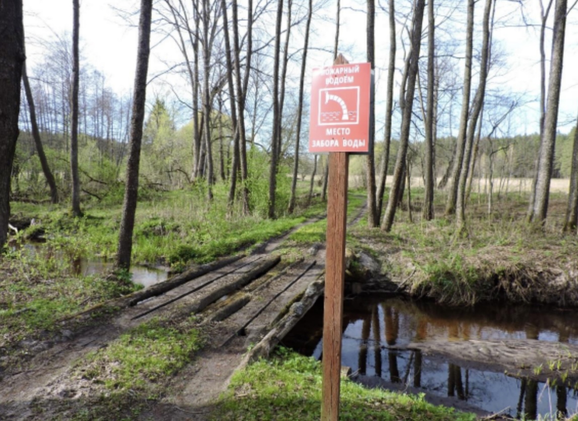 По результатам проверки ФГБУ «Государственный заповедник «Брянский лес» готов к пожароопасному сезону 2023