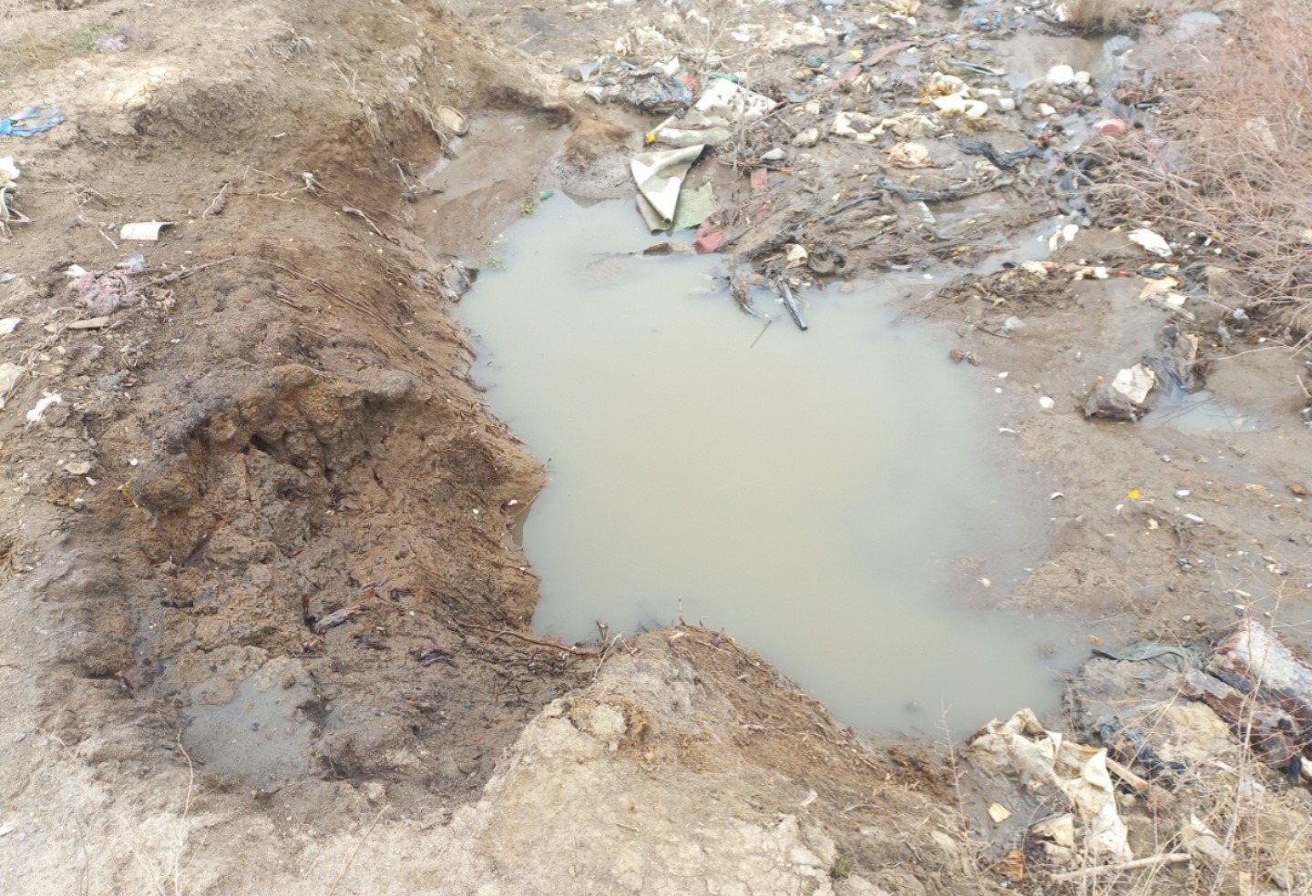 Суд поддержал требования Росприроднадзора о возмещении вреда почвам, в размере 84 381 руб