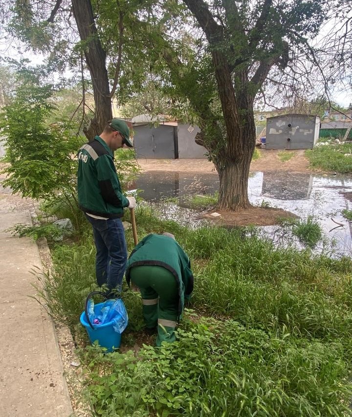 Суд поддержал требования Росприроднадзора о возмещении вреда почвам, в размере 2 572 378 рублей