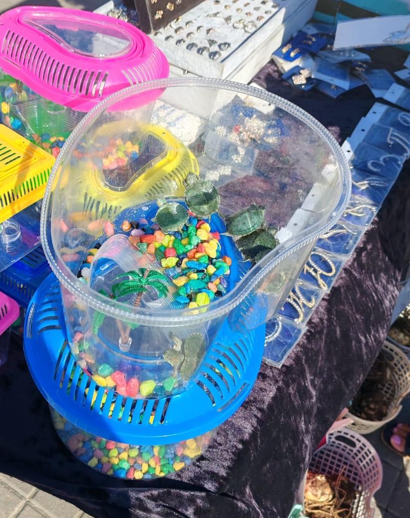 В Санкт-Петербурге активизировались уличные торговцы красноухими черепахами 