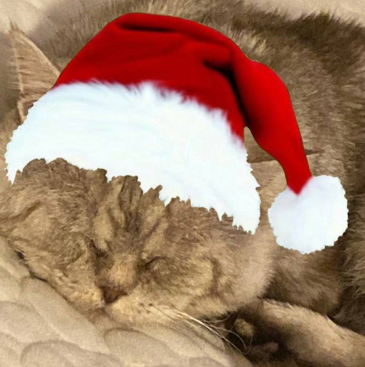 Сотрудники Волжско-Камского управления Росприроднадзора приняли участие в новогодних благотворительных акциях