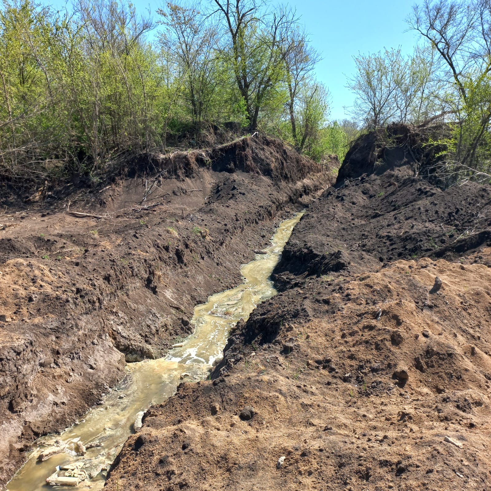  Центрально-Черноземное управление Росприроднадзора требует с ЖКХ «Масловское» добровольно возместить более 47 млн руб. ущерба почвам от канализационных стоков  