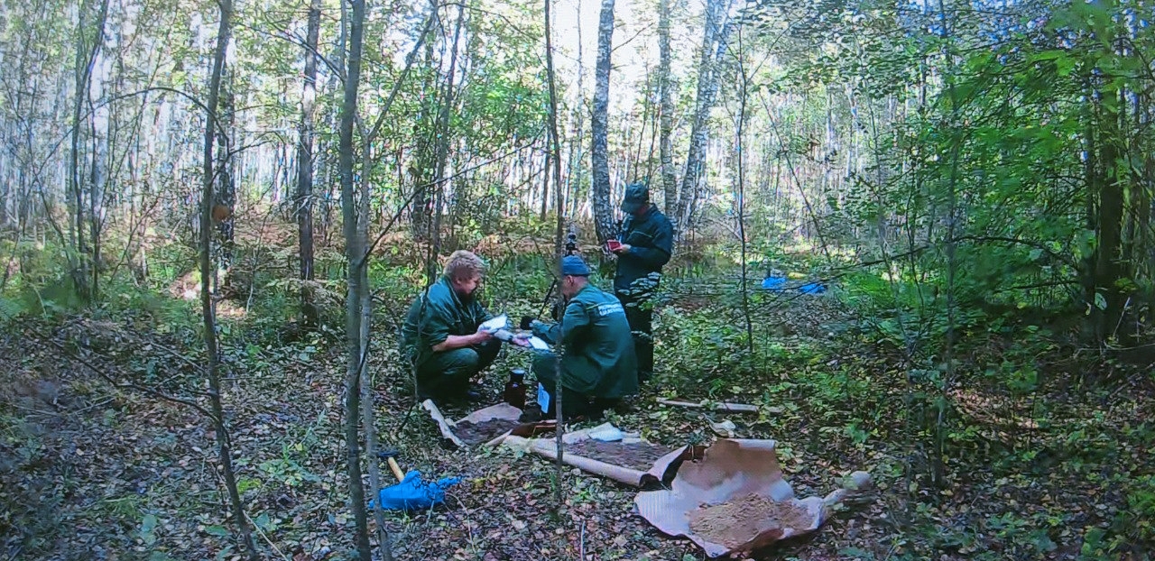 Полигон промышленных отходов «Заволжского моторного завода» оказывает негативное влияние на окружающую среду