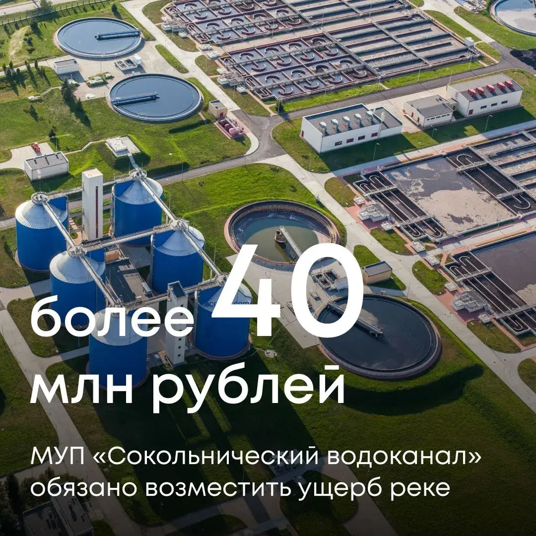 Суд поддержал требования Росприроднадзора о взыскании с МУП «Сокольнический водоканал» ущерба, причиненного реке Ольховке в Тульской области