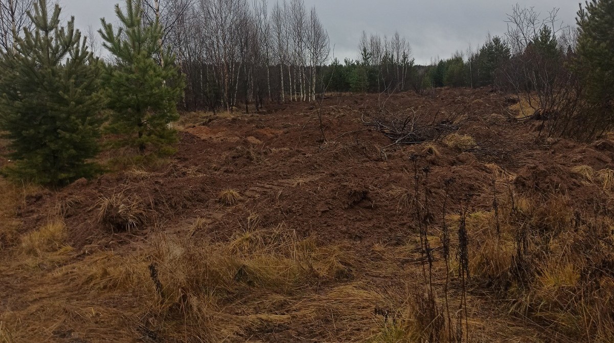 В Кировской области Росприроднадзором установлен факт порчи земель на общую сумму более 14 миллионов рублей