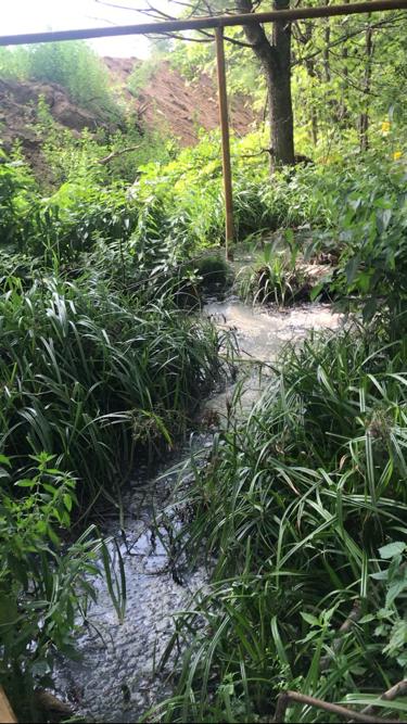 ООО «Лаборатория чистого протеина» заплатит более 2,4 млн за причиненный вред почвам