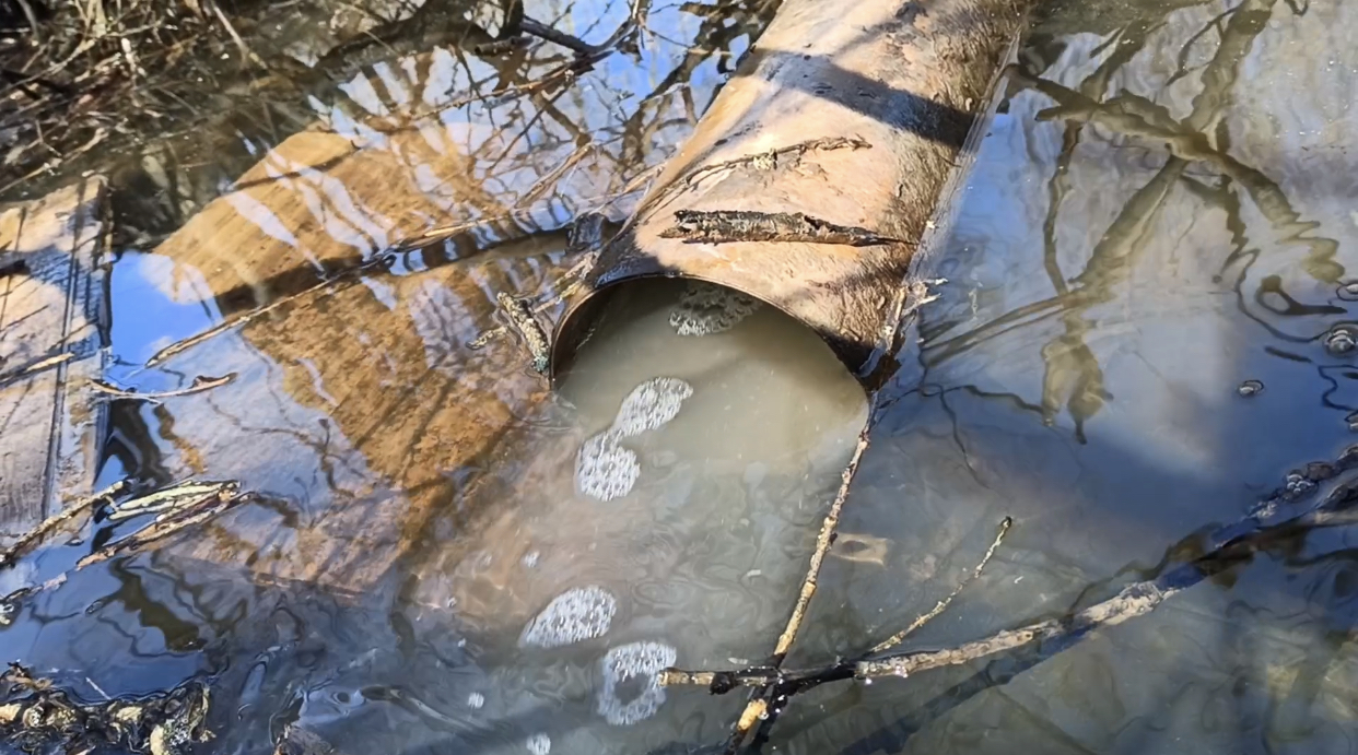 Росприроднадзор по СЗФО внепланово проверяет ГУП «Леноблводоканал» по факту неработающих очистных сооружений в д. Красноозерное 