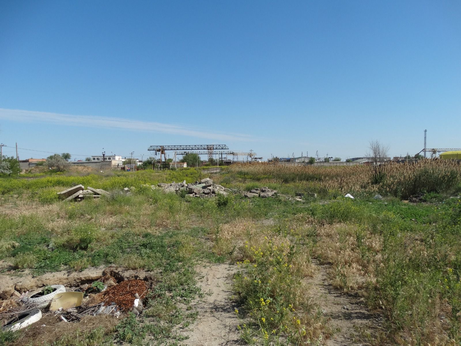 Суд удовлетворил иск Росприроднадзора к физическому лицу о возмещении вреда, причиненного почве, на сумму более 400 000 руб