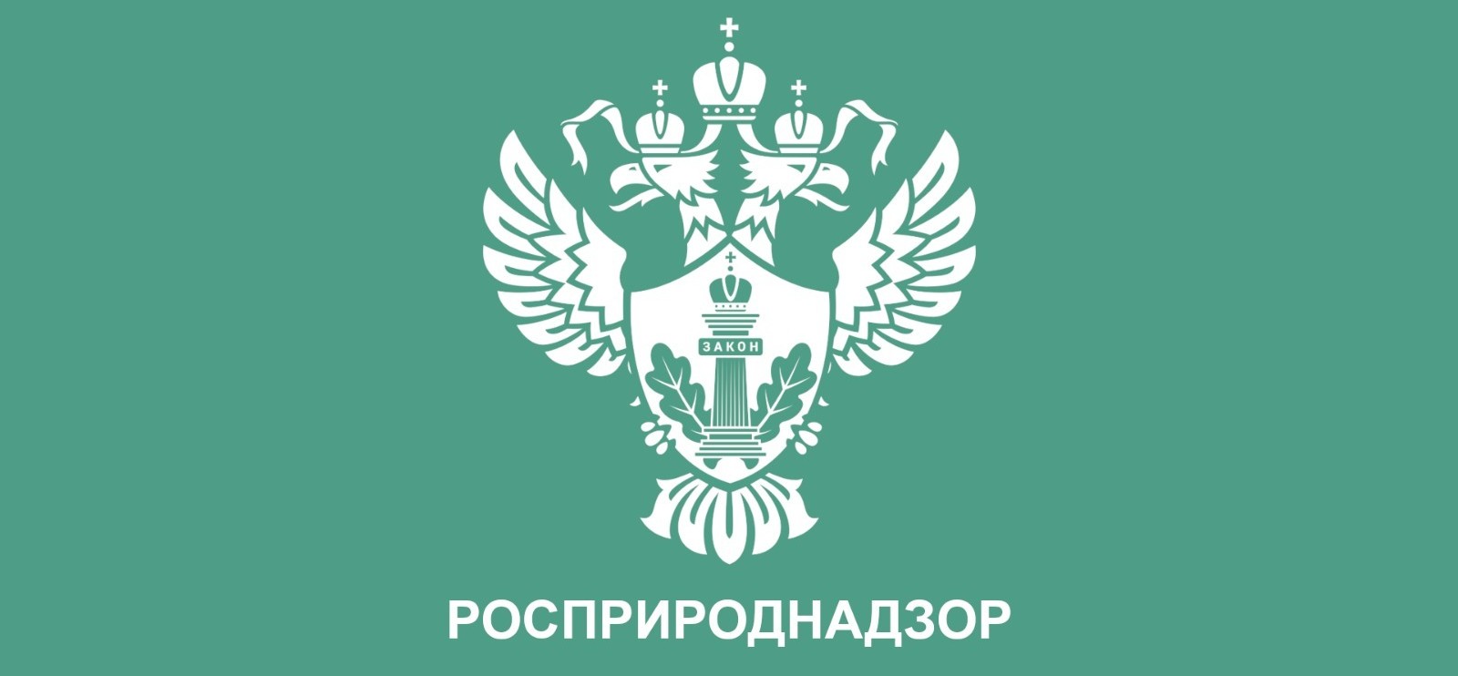 ОАО «ВГОК» не устранило нарушения, выявленные Росприроднадзором