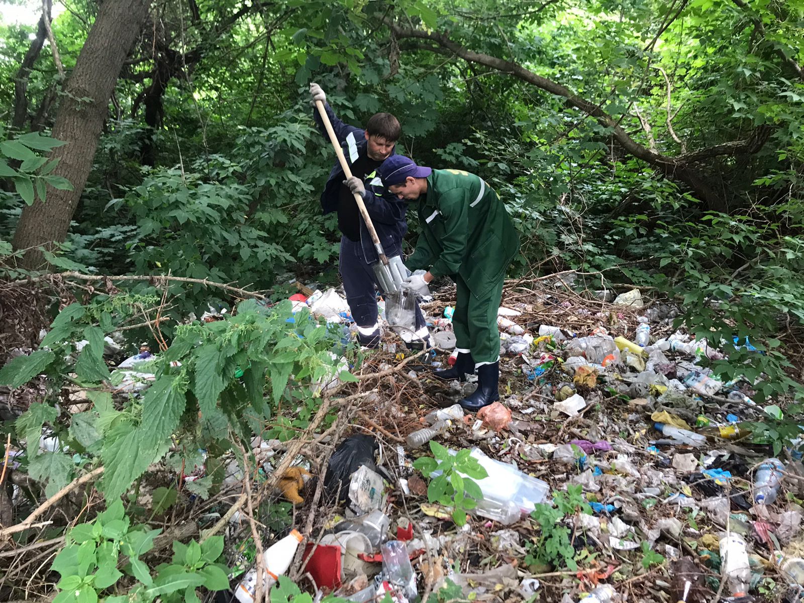 Центрально-Черноземное управление Росприроднадзора направило предостережение администрации Курского района за несанкционированную свалку и рассчитает ущерб