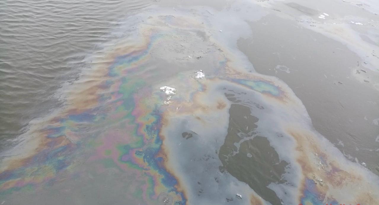 Росприроднадзором приняты меры по факту загрязнения нефтепродуктами акватории реки Волга в границах поселка Ассадулаево Приволжского района Астраханской области