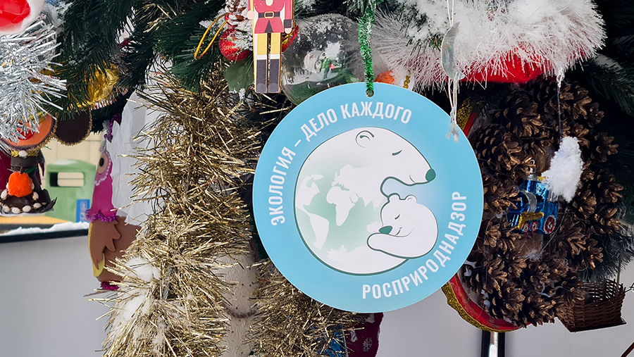 Награждение участников акции «Экоёлка» в рамках премии «Экология – дело каждого»