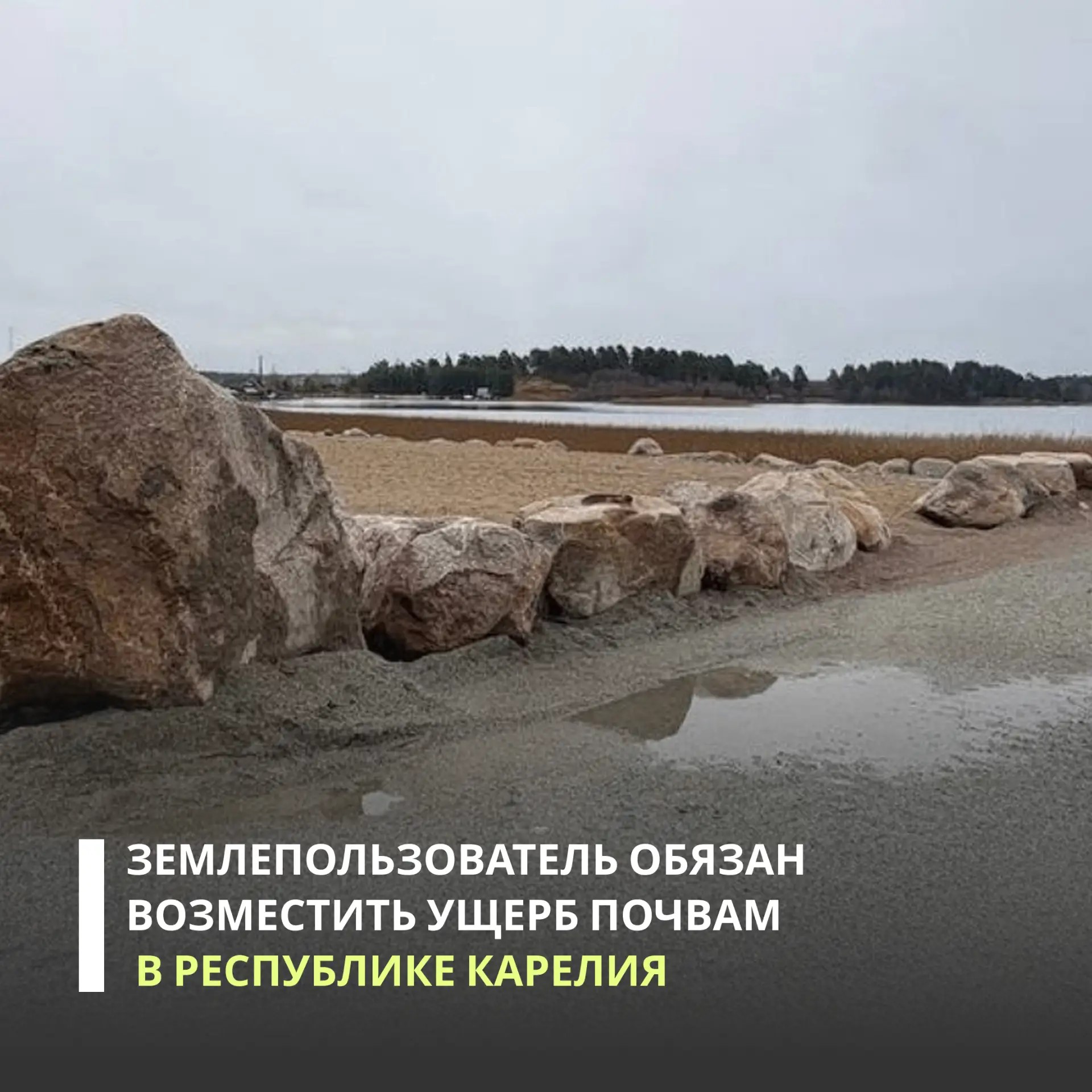 Росприроднадзор провел выездное обследование в деревне Лумбуши Медвежьегорского района Карелии после обращения местного жителя