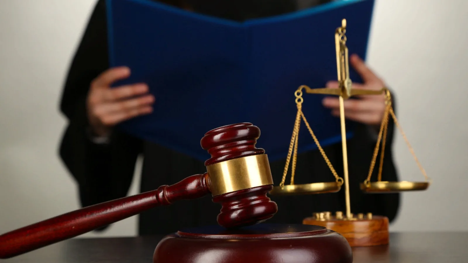 Судебные инстанции поддержали требования Приокского управления Росприроднадзора о взыскании с ООО «Елатьмасервис» платы за негативное воздействие на окружающую среду на сумму более 300 тысяч рублей